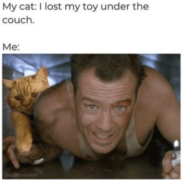 Jokes And Photos For Cat Lovers (29 pics)