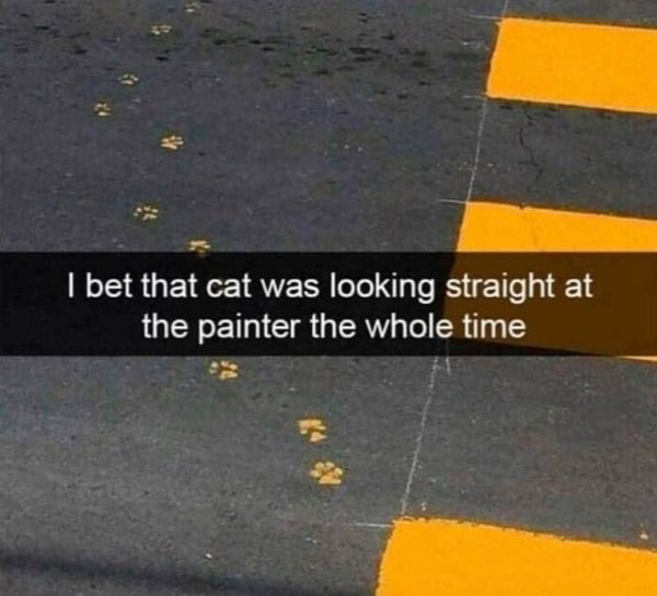 Jokes And Photos For Cat Lovers (29 pics)