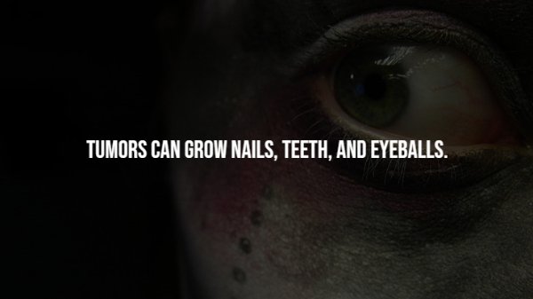 Creepy Facts (14 pics)