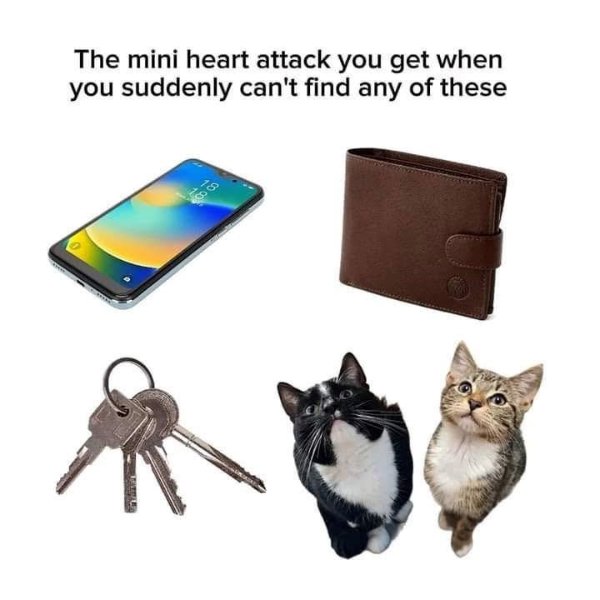 Jokes And Photos For Cat Lovers (29 pics)