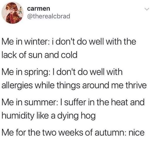 Autumn Memes (18 pics)