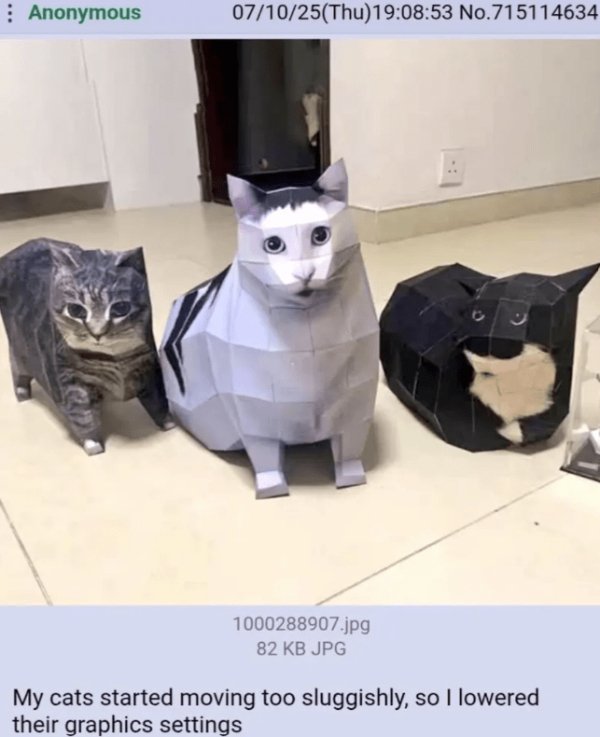 Jokes And Photos For Cat Lovers (29 pics)