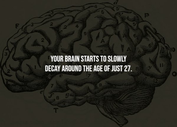 Creepy Facts (14 pics)