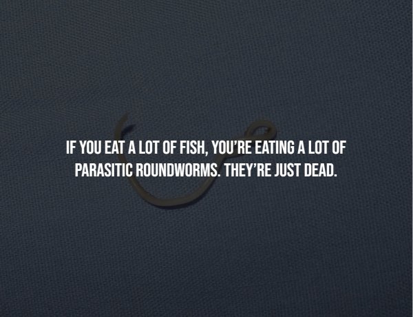 Creepy Facts (14 pics)