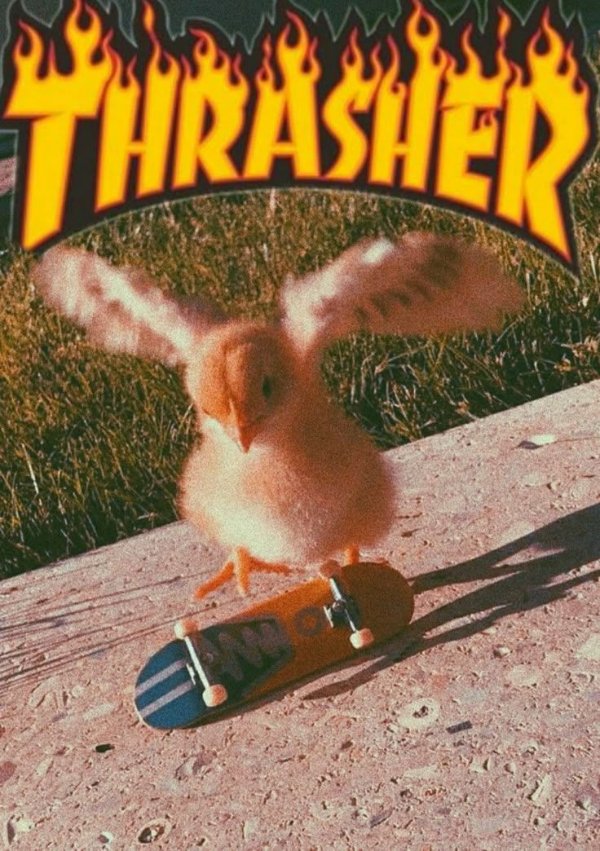 Nostalgic Memes (24 pics)