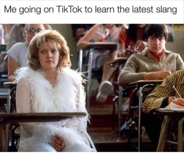 Nostalgic Memes (24 pics)