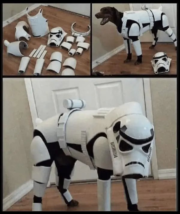 Movie Memes (26 pics)