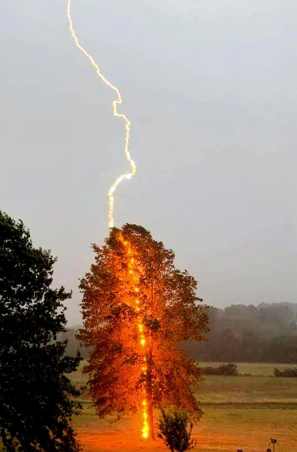 Right Moment (28 pics)