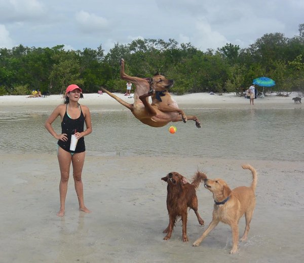 Right Moment (28 pics)
