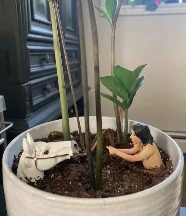 What Is Going On Here? (27 pics)