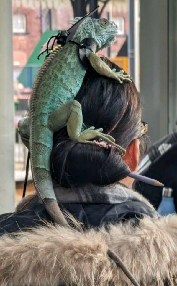 What Is Going On Here? (27 pics)