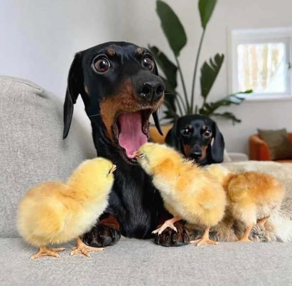 Right Moment (28 pics)