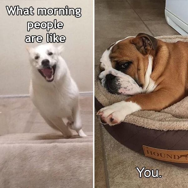 Morning People Against ''Night Owls'' (27 pics)