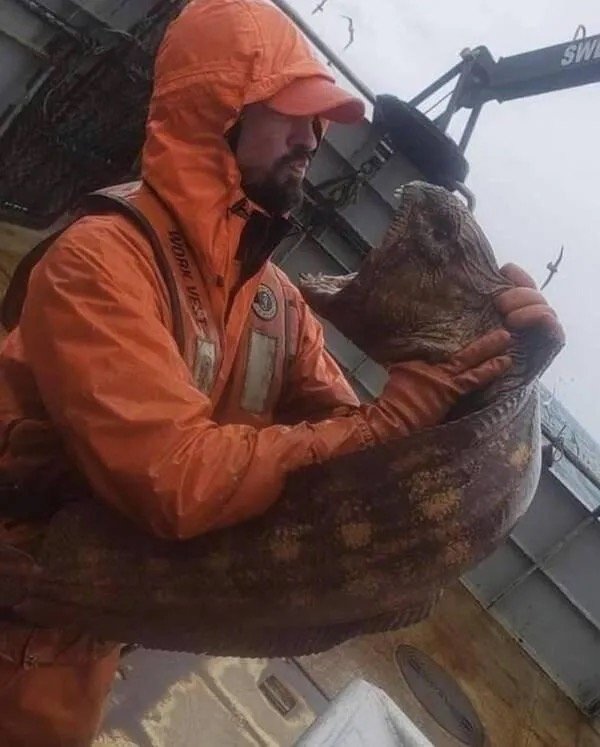 What Is Going On Here? (27 pics)