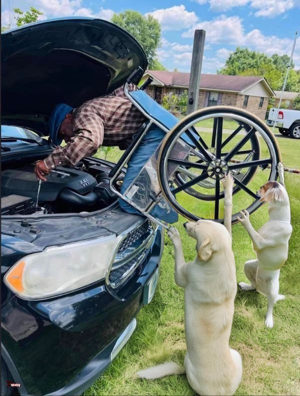 What Is Going On Here? (27 pics)