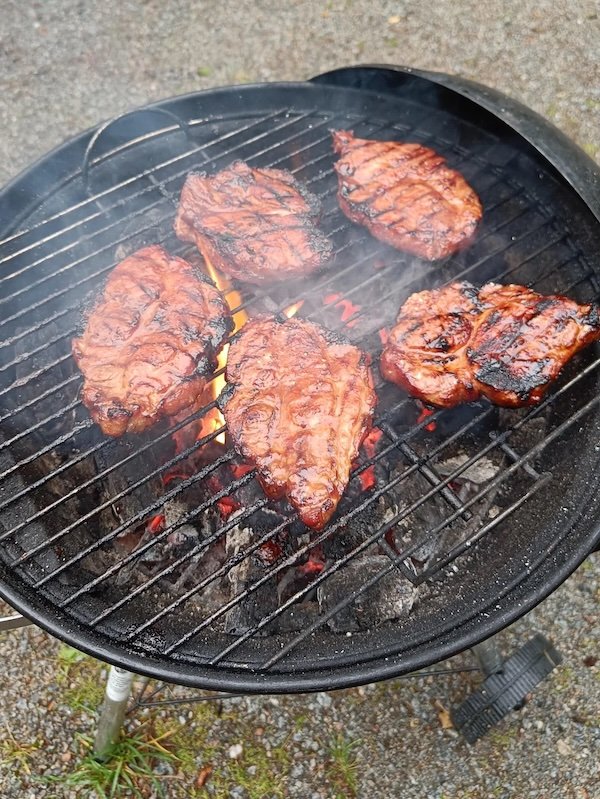 Cool Photos For Grill Lovers (25 pics)