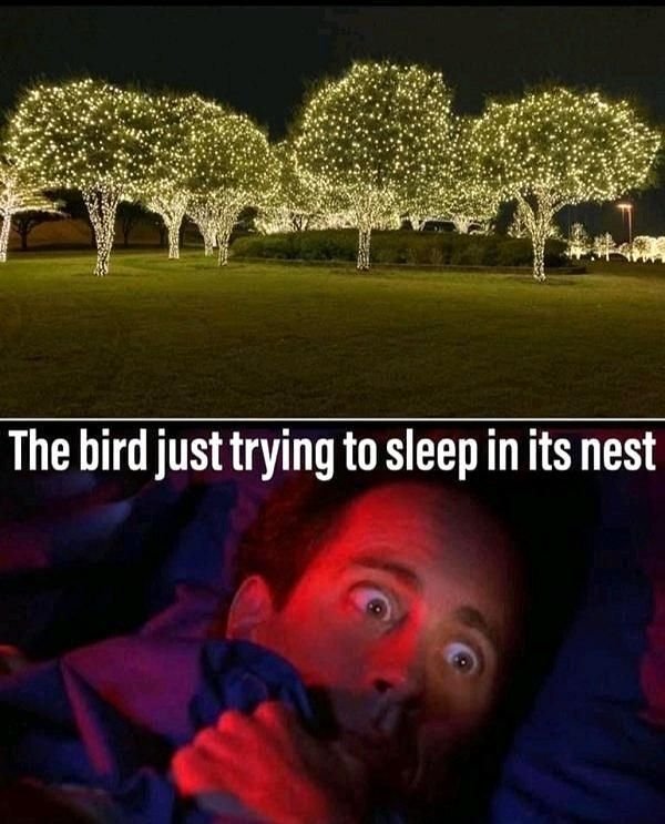 Morning People Against ''Night Owls'' (27 pics)