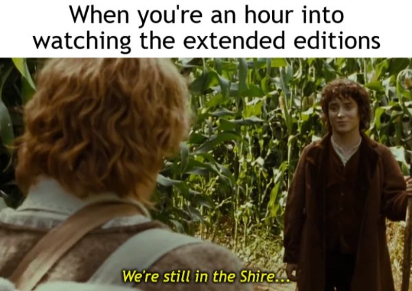 Memes For ''The Lord Of The Rings'' Fans (32 pics)