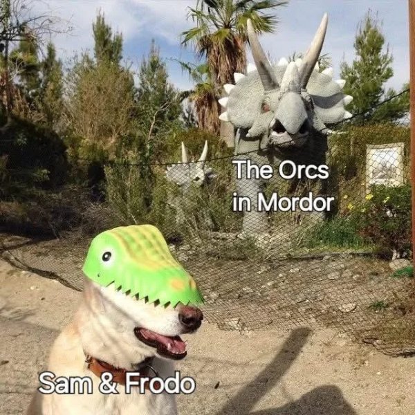 Memes For ''The Lord Of The Rings'' Fans (32 pics)