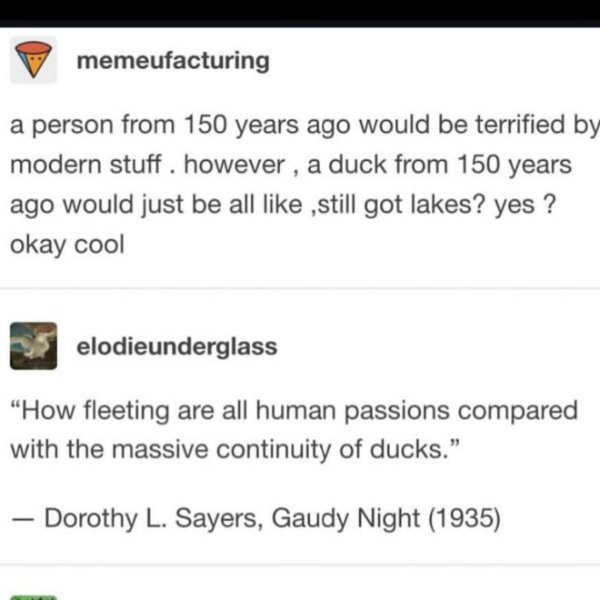 Random Jokes (21 pics)