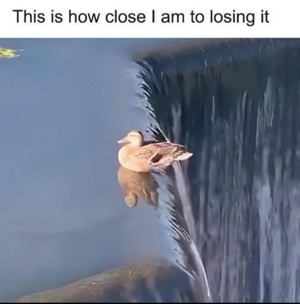 Random Jokes (21 pics)