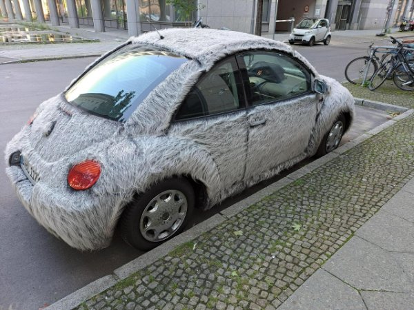 What Is Going On Here? (31 pics)