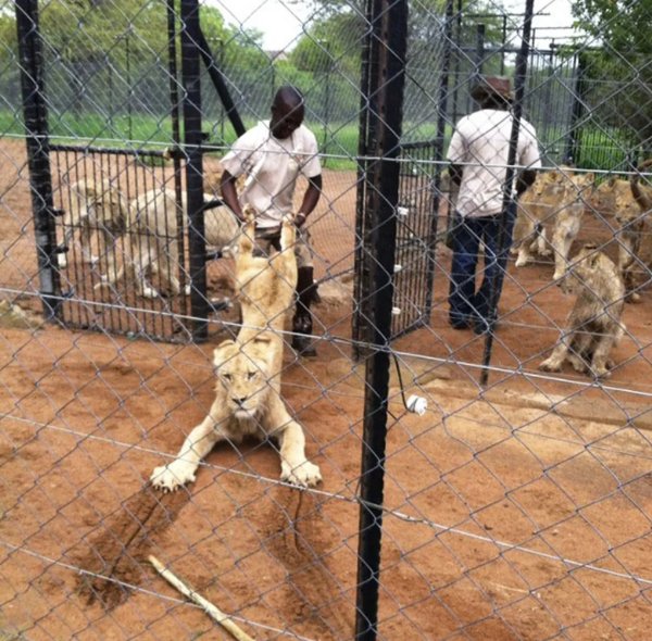 What Is Going On Here? (31 pics)