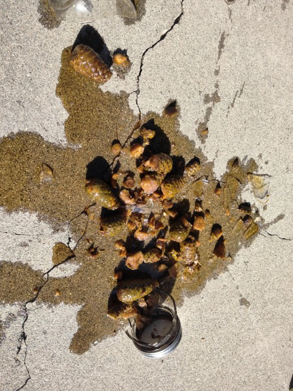 Bad Days Happen (23 pics)