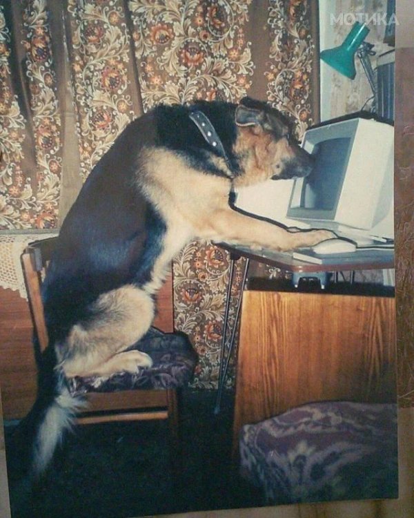 What Is Going On Here? (31 pics)