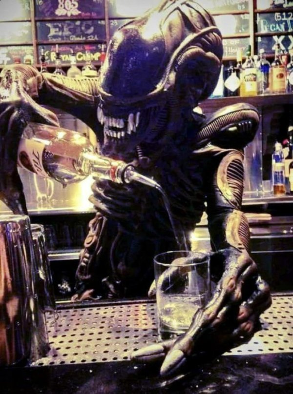 What Is Going On Here? (31 pics)