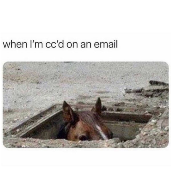 Work Memes (22 pics)