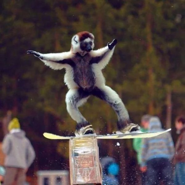 What Is Going On Here? (31 pics)