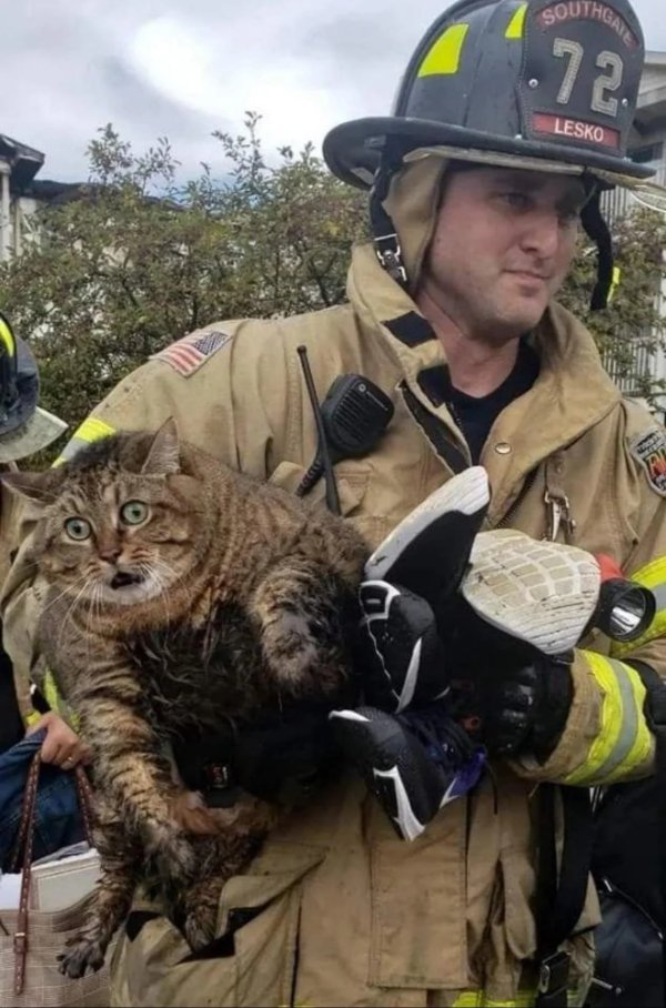 What Is Going On Here? (31 pics)