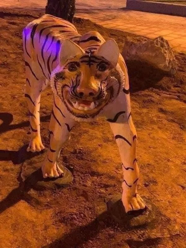 What Is Going On Here? (31 pics)