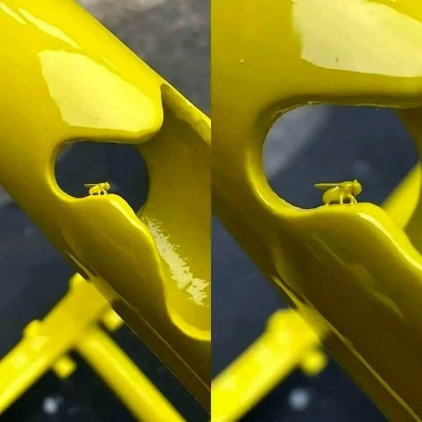 What Is Going On Here? (31 pics)