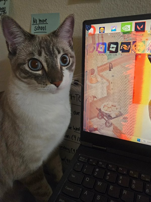 Bad Days Happen (23 pics)