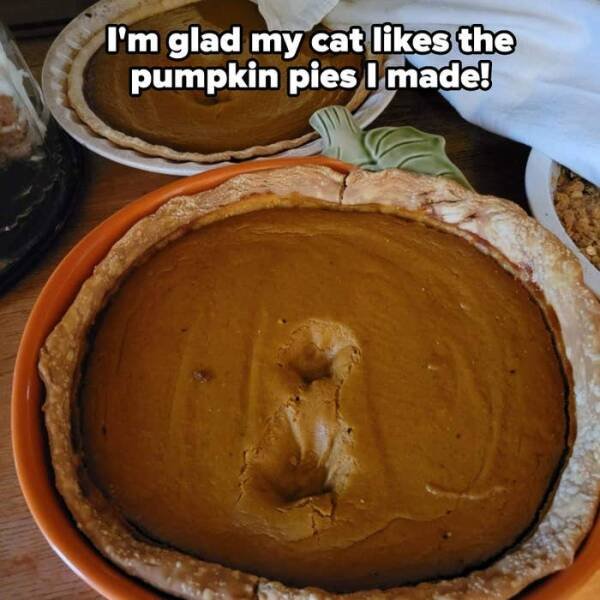 Unpleasant Failures (20 pics)