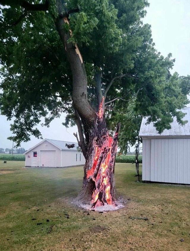 The Power Of Nature (25 pics)