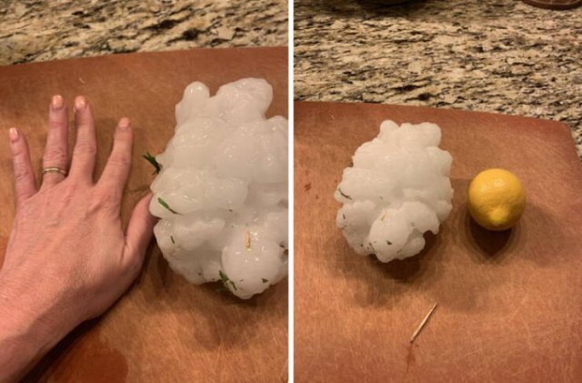 The Power Of Nature (25 pics)