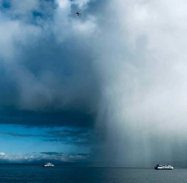 The Power Of Nature (25 pics)