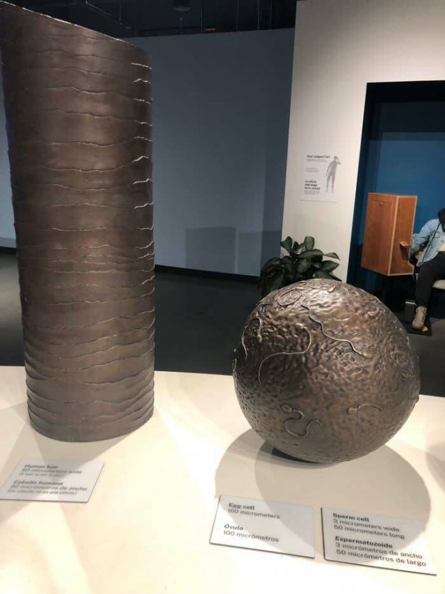 Interesting Finds (20 pics)