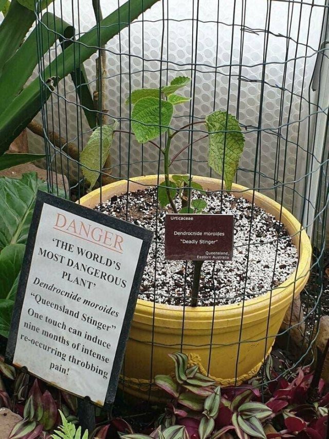 Interesting Finds (20 pics)