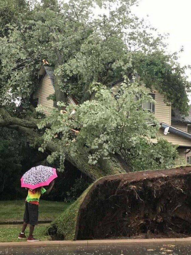 The Power Of Nature (25 pics)