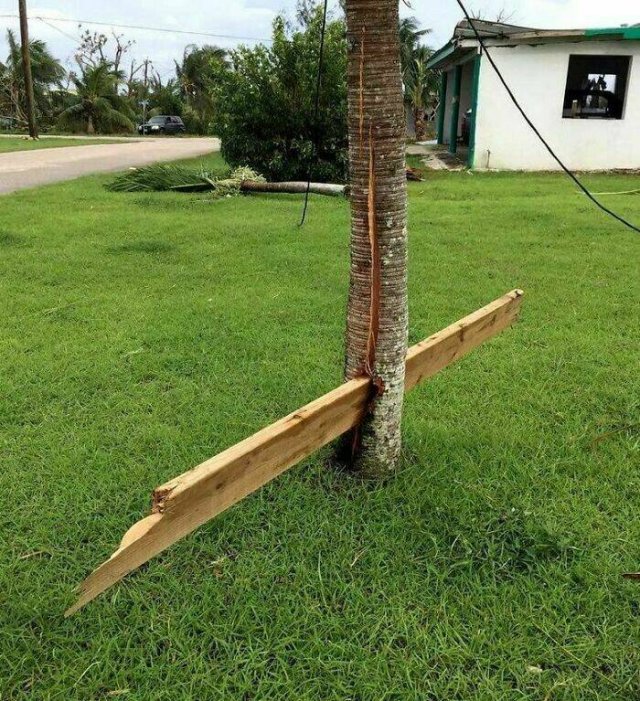 The Power Of Nature (25 pics)