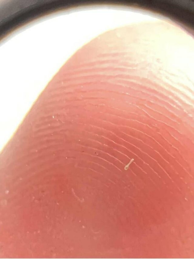 Interesting Finds (20 pics)