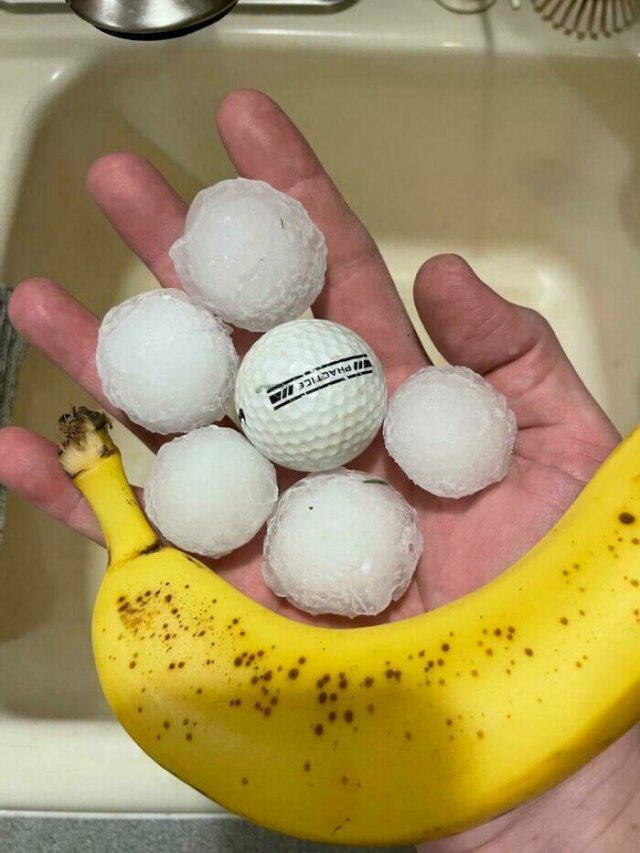 The Power Of Nature (25 pics)
