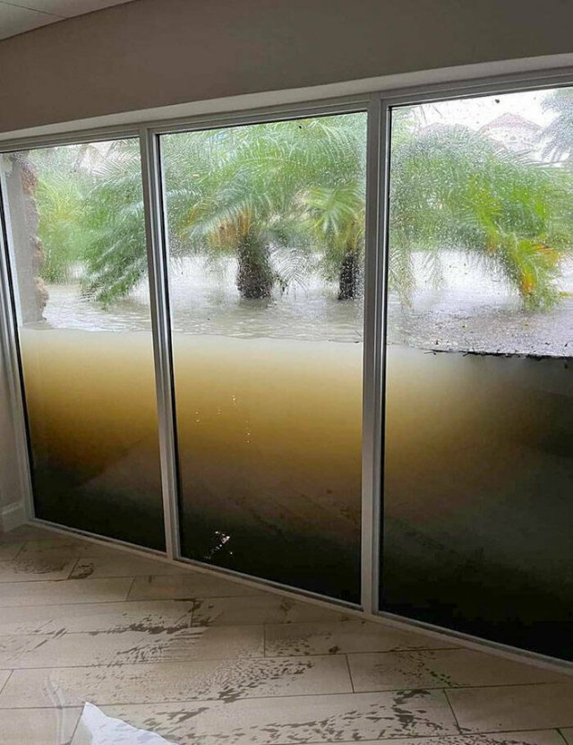 The Power Of Nature (25 pics)
