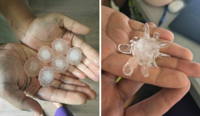 The Power Of Nature (25 pics)