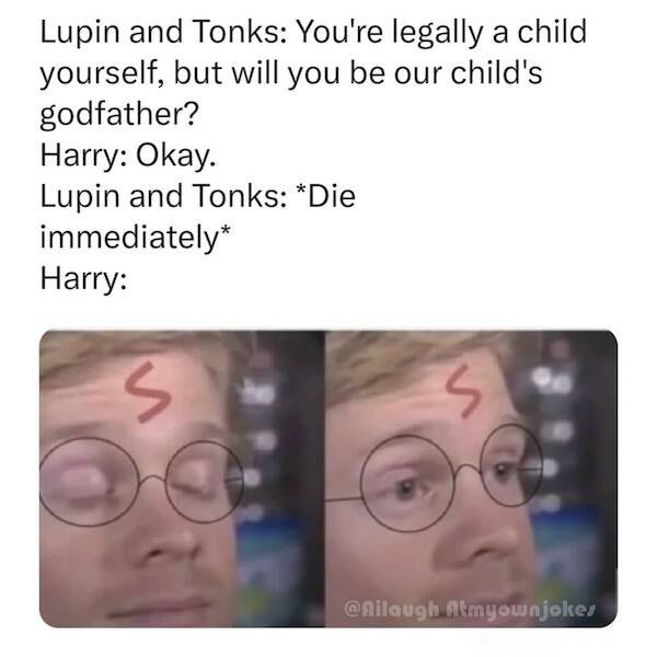 Memes For ''Harry Potter'' Fans (26 pics)