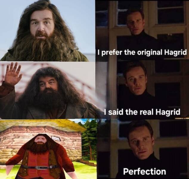 Memes For ''Harry Potter'' Fans (26 pics)
